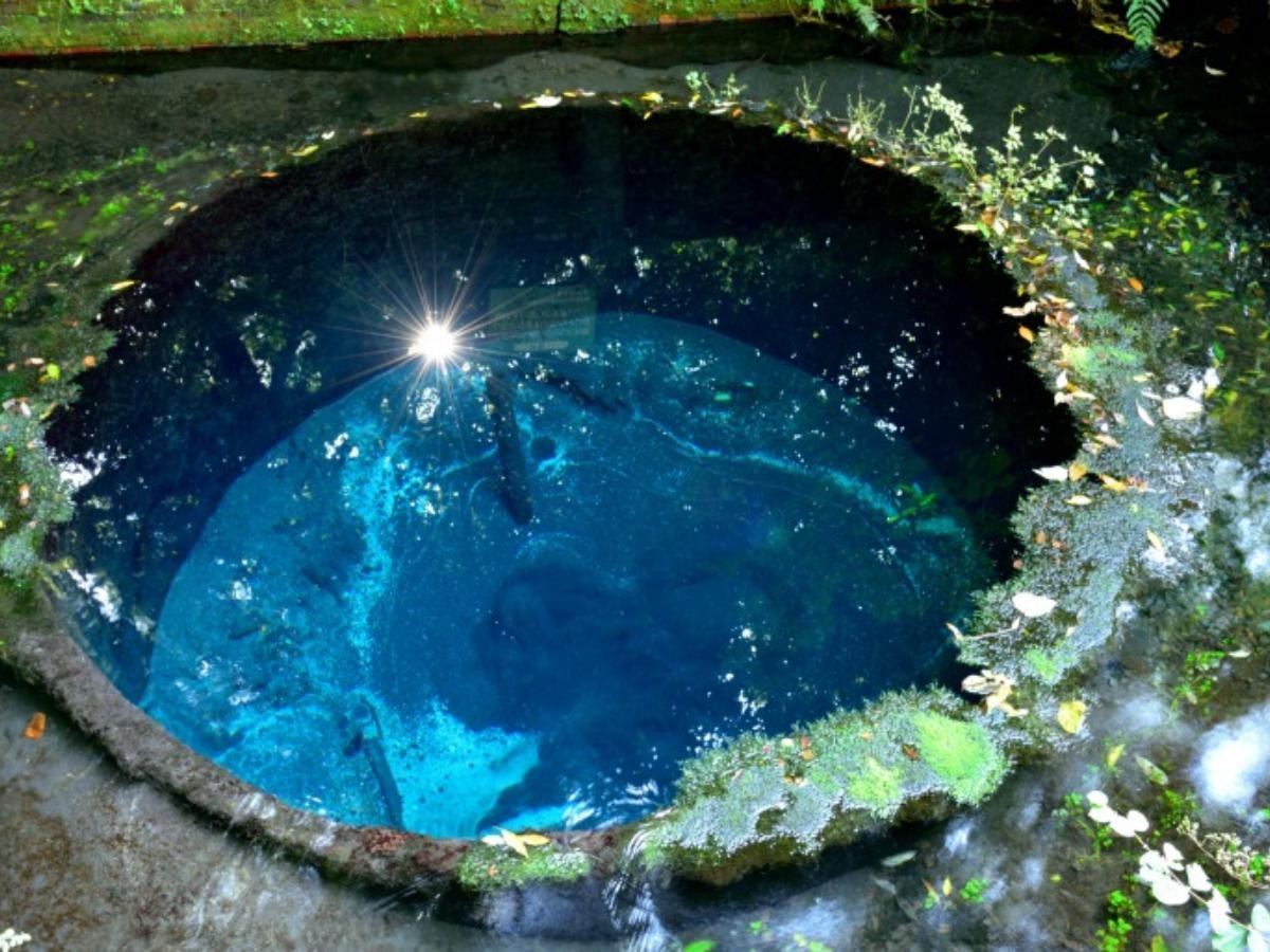 🏞️ 카키타가와 공원 이미지 8